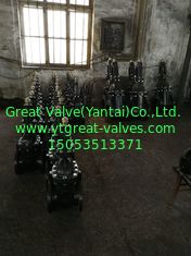 (ANSI) Cast Iron Gate Valve O&Y flanged ends