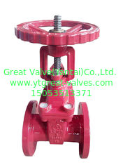 (ANSI) Resilient Gate Valve Flanged Ends