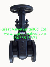 (ANSI) Cast Iron Gate Valve O&Y flanged ends