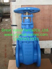 (BS) Cast Iron Gate Valve NRS