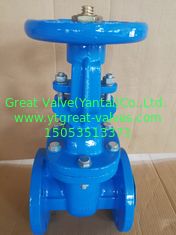 (bs) Cast Iron Metal Gate Valve O&Y flanged ends