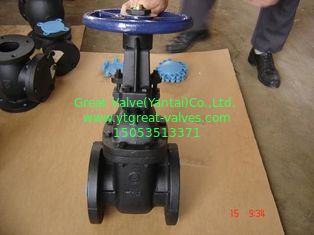 (bs) Cast Iron Metal Gate Valve O&Y flanged ends