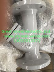 ANSI y strainer flanged ends