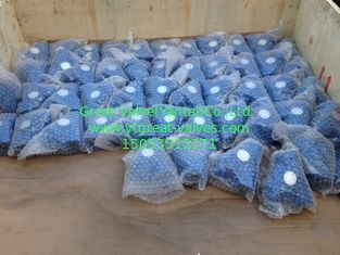ANSI y strainer flanged ends