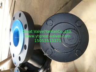 505C  ANSI Y STRAINER FLANGED ENDS