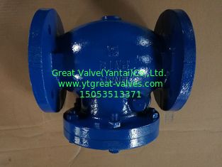 Bs table D check valve