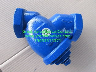 NPT Y strainer