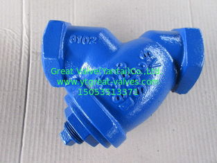 NPT Y strainer