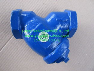 NPT Y strainer