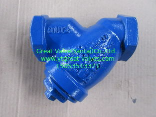 NPT Y strainer