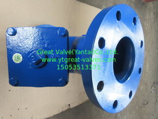 ANSI Y strainer FLANGED ENDS