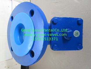 ANSI Y strainer FLANGED ENDS
