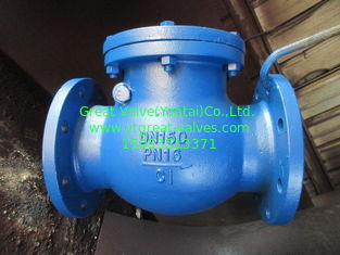 din   SWING CHECK VALVE