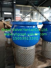 DIN FOOT VALVE