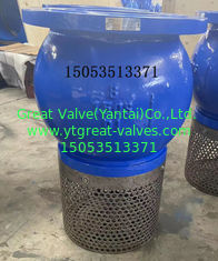 ANSI Foot Valve with Flange Standard ANSI/BS/DIN/JIS and Corrosion-Resistant Paint or Epoxy Coating