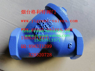 ANSI y strainer threaded ends
