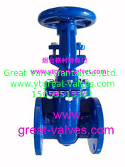 (bs) Cast Iron Metal Gate Valve O&Y flanged ends