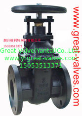 (bs) Cast Iron Metal Gate Valve O&Y flanged ends