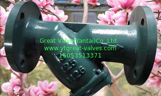 100% Testing Y Strainer Ductile Iron with Media Clear Water Or Water-like Medium