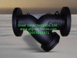 505C-Y STRAINER ANSI