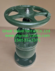 ANSI angle valve