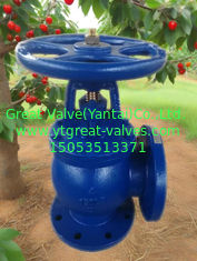 ANSI angle valve