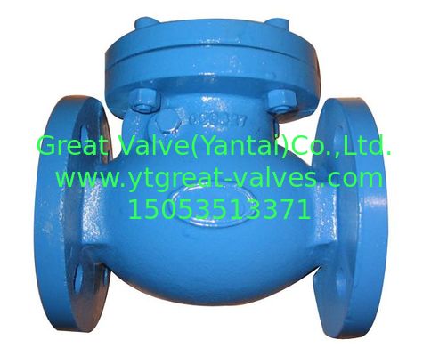 BS check valve flanged ends