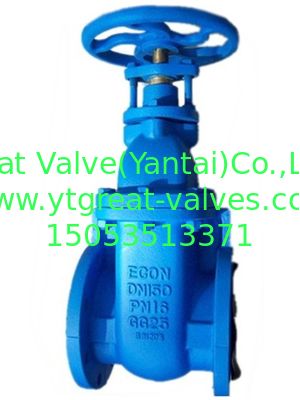 (BS) Cast Iron Gate Valve Flanged Ends