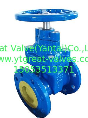 (BS) Cast Iron Resilient Gate Valve nor-rising stem