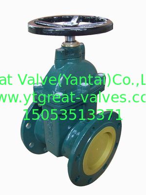 (BS) Cast Iron Gate Valve nor-rising stem