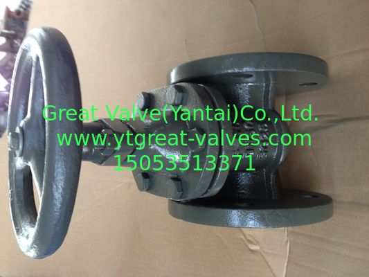 (DIN) Cast Iron Gate Valve Flanged Ends