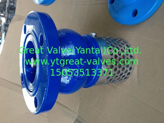 DIN foot valve