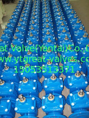 (DIN) Ductile Iron Resilient Gate Valve NRS