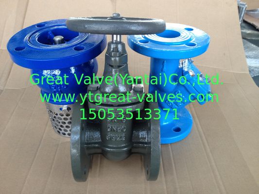 805-F DIN Y STRIANER FLANGED ENDS