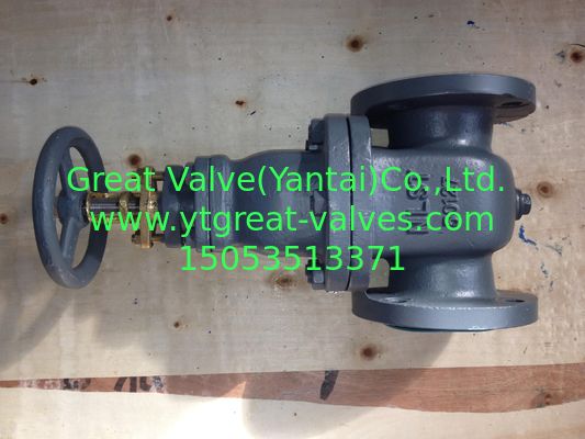 702-F (JIS) Cast Iron Gate Valve NRS