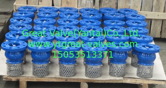 DIN foot valve