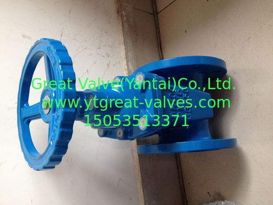 (BS) Cast Iron Resilient Gate Valve nor-rising stem Flanged Ends