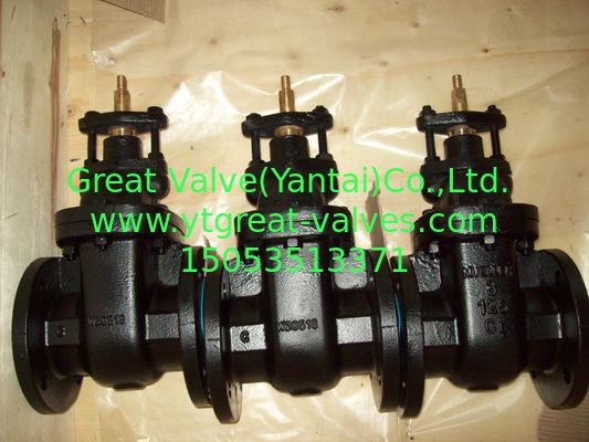 (ANSI) Cast Iron Gate Valve