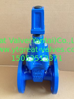 (DIN) Cast Iron Resilient Gate Valve nor-rising stem