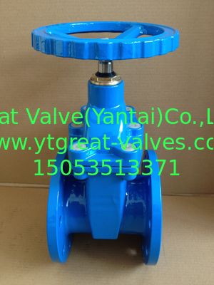 (DIN) Cast Iron Resilient Gate Valve nor-rising stem