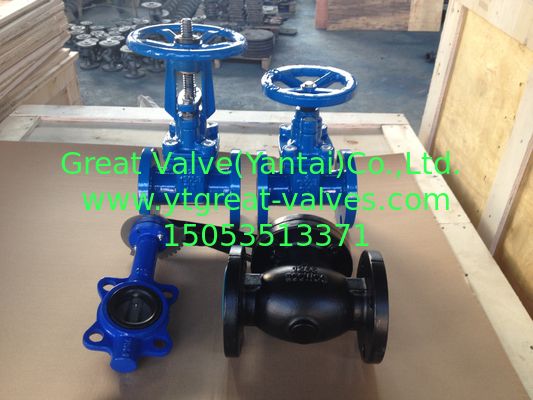 ANSI check valve flanged ends