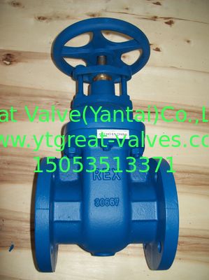 (BS) Cast Iron Gate Valve Flanged Ends