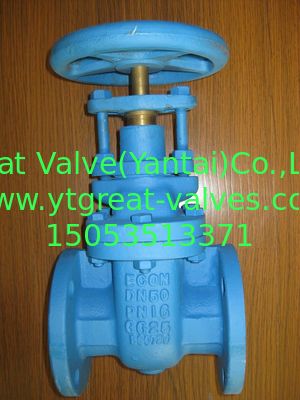 (BS) Cast Iron Gate Valve Flanged Ends