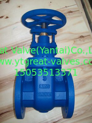 (BS) Cast Iron Gate Valve Flanged Ends