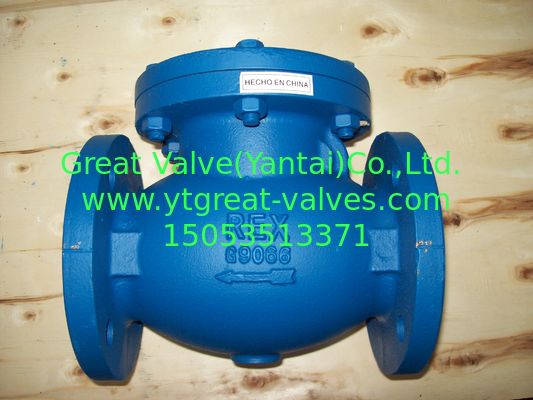 BS check valve flanged ends