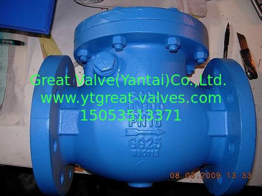 BS check valve flanged ends