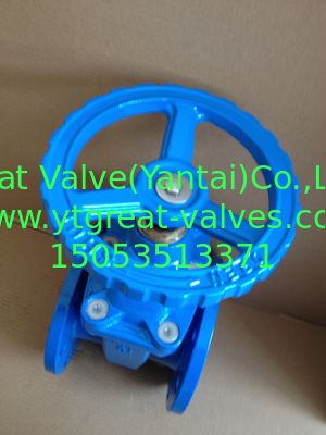 (BS) Cast Iron Resilient Gate Valve nor-rising stem Flanged Ends