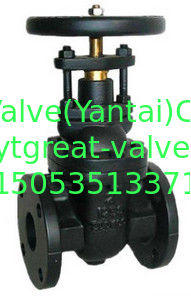 Metal GATE VALVE NRS
