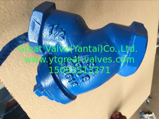 ANSI y strainer threaded ends