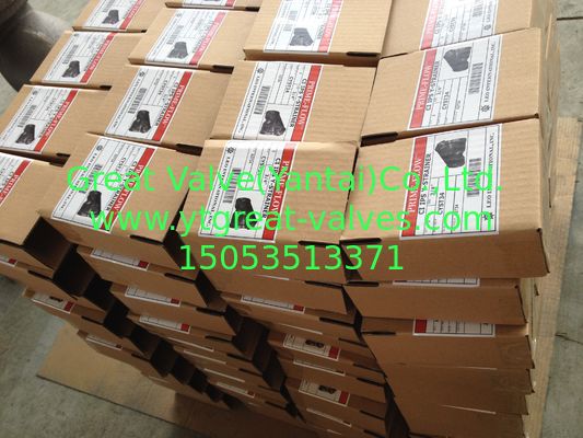 ANSI y strainer threaded ends